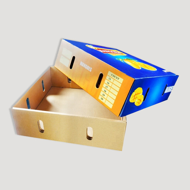 corrugated box for fruits