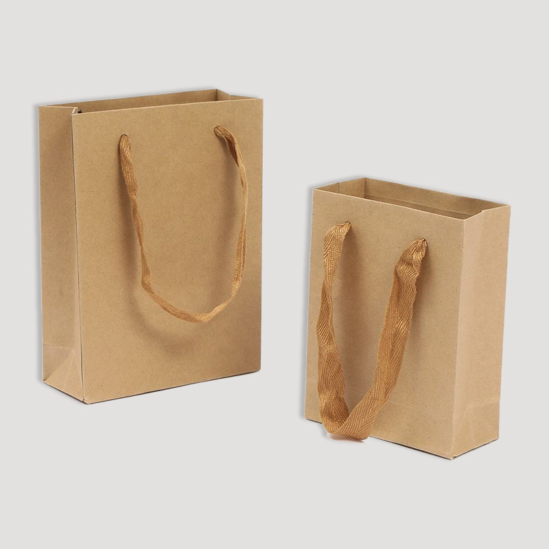 Brown paper bag with ribbon